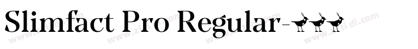 Slimfact Pro Regular字体转换